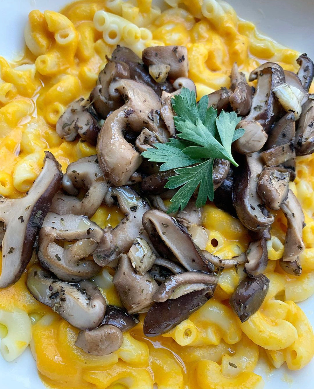 Quick Smacking Vegan Mac and Cheese with Shiitake Mushrooms